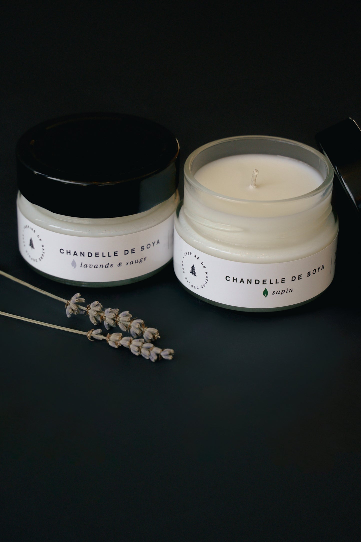 Forfait L’instant présent